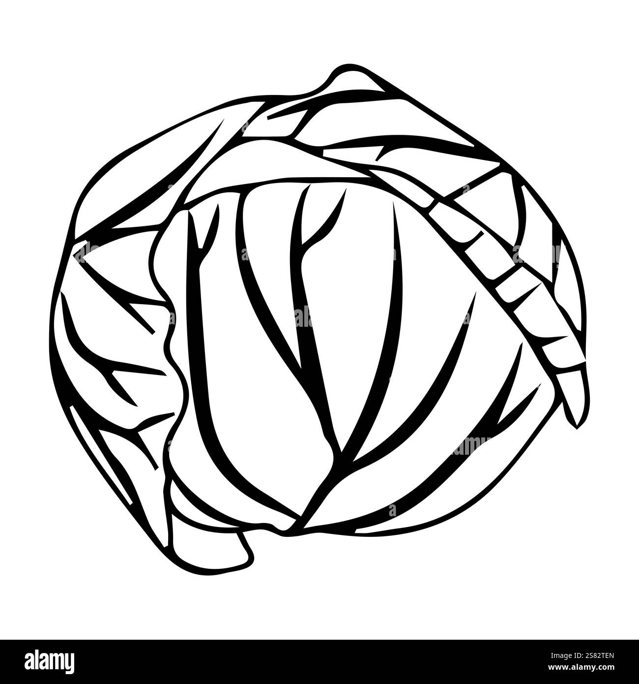 Tête de chou blanc ou choux de Bruxelles, ou laitue iceberg. Légume frais avec des feuilles juteuses dans le style doodle. Illustration vectorielle isolée sur whit Illustration de Vecteur