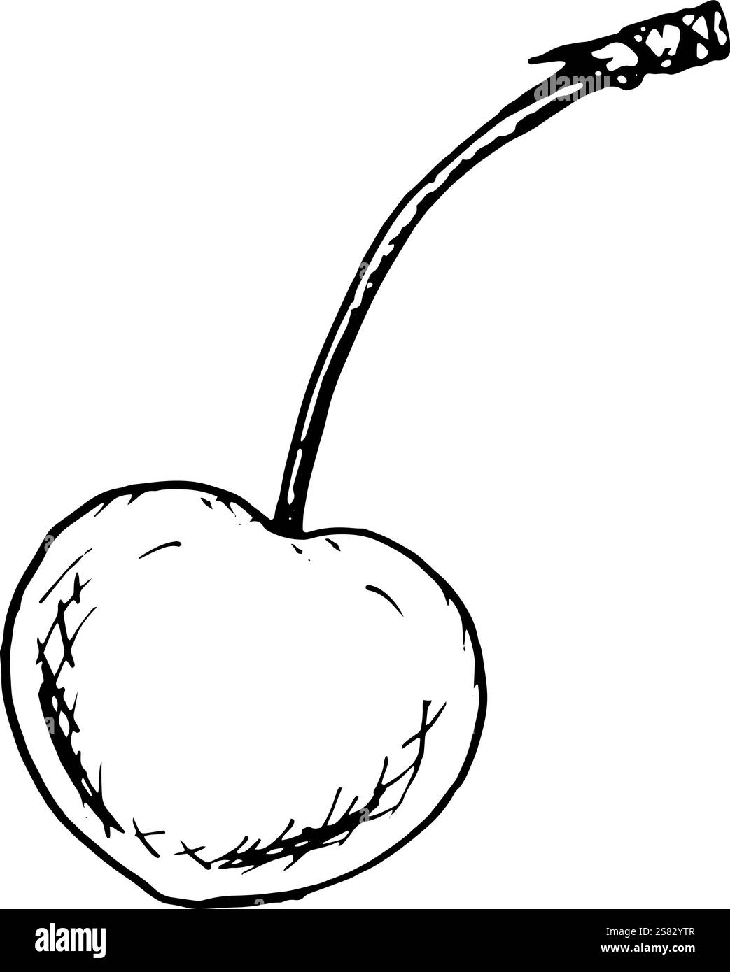 Élégant croquis à l'encre d'une seule cerise avec une tige, dessiné en noir et blanc. Parfait pour la conception de recettes, les étiquettes alimentaires, l'emballage et la décoration Illustration de Vecteur