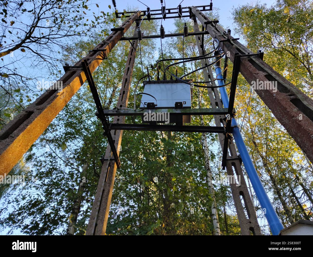 Transformateur électrique rural dans la forêt d'automne vue vers le haut. Banque D'Images