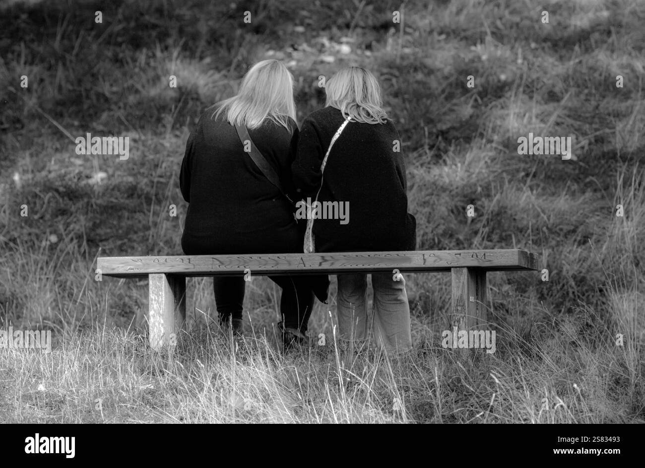 assis ensemble Banque D'Images