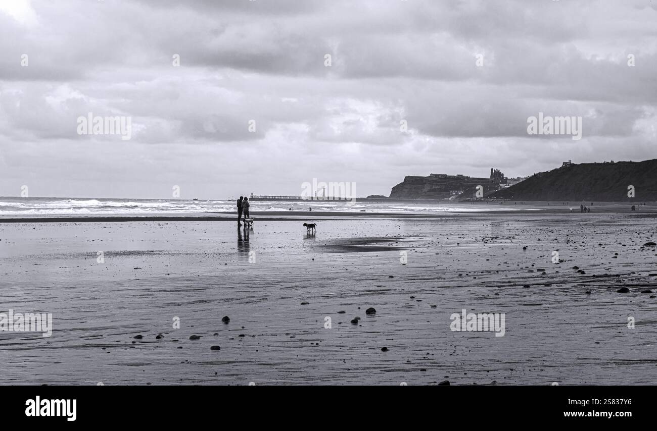 Prendre le chien pour une promenade sur Whitby Beach. Réflexions des promeneurs de chiens et de l'abbaye en arrière-plan. Beau et historique, calme et reposant. Banque D'Images