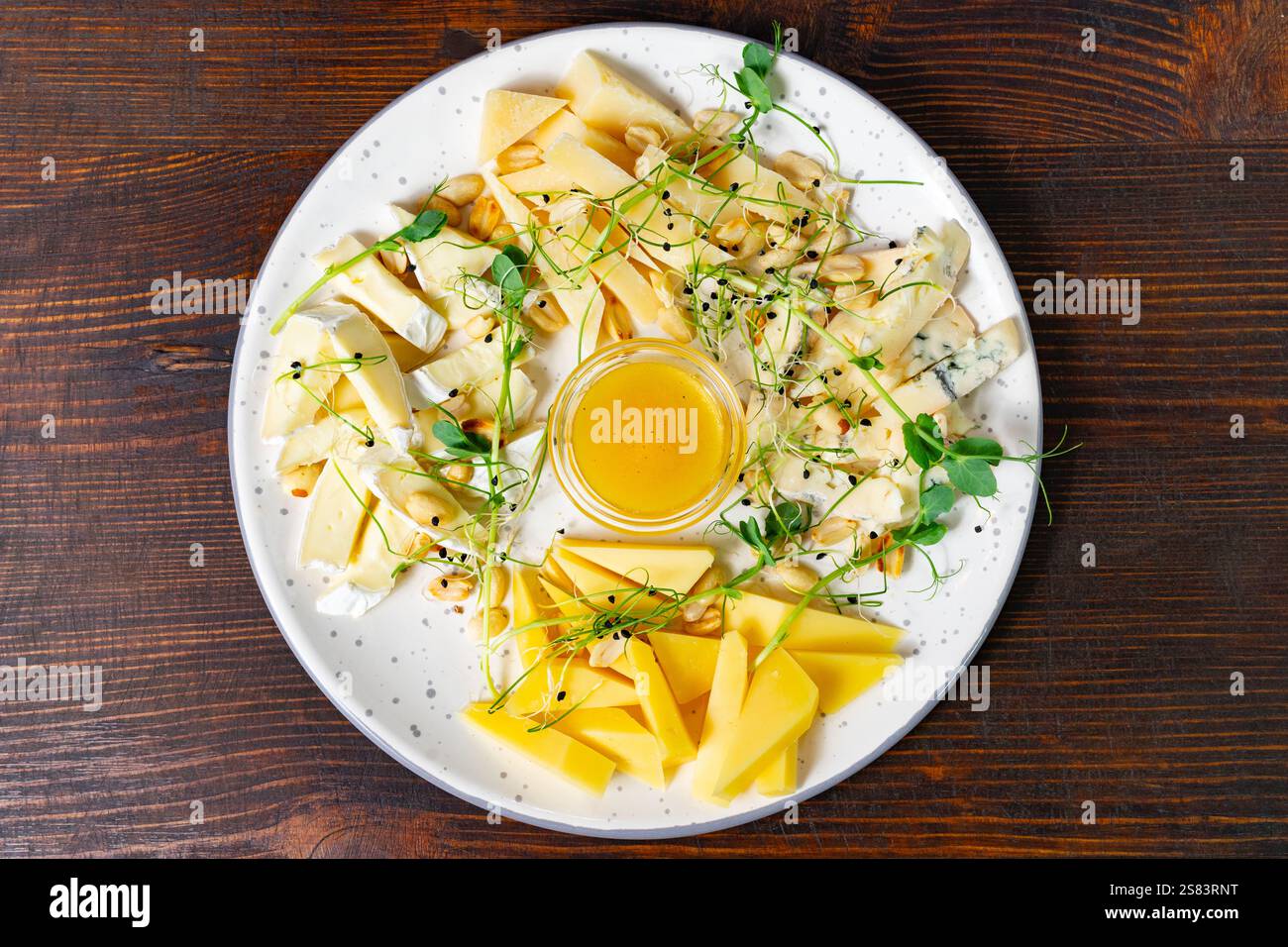 Un plateau de fromages invitant présente différents types de fromages agencés habilement avec un petit bol de miel au centre, garni de pousses fraîches. PE Banque D'Images