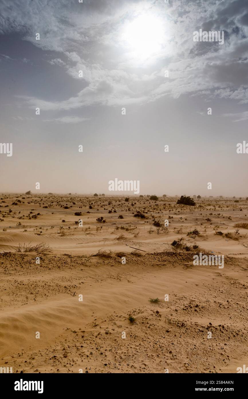 Salines dans l'ouest de la Tunisie Banque D'Images