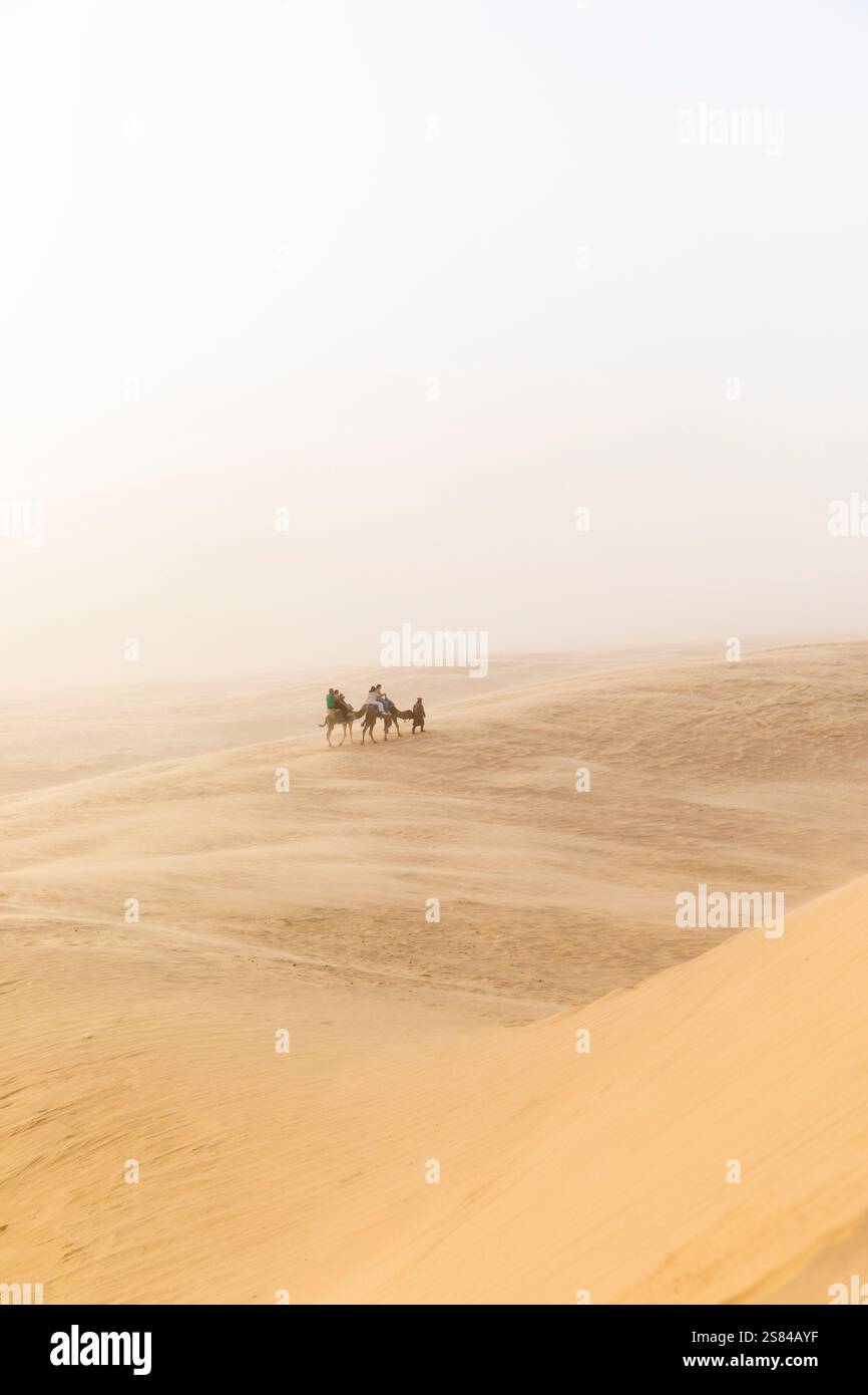 Un petit chameau et les gens éclipsés par l'étendue des dunes de sable. Banque D'Images