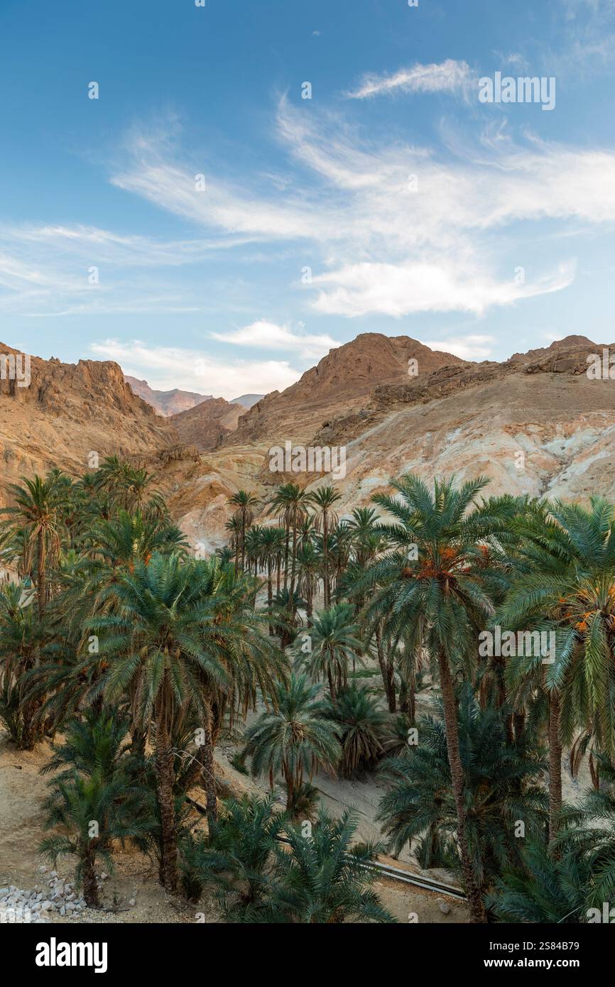 L'oasis de Chebika, au centre de la Tunisie Banque D'Images
