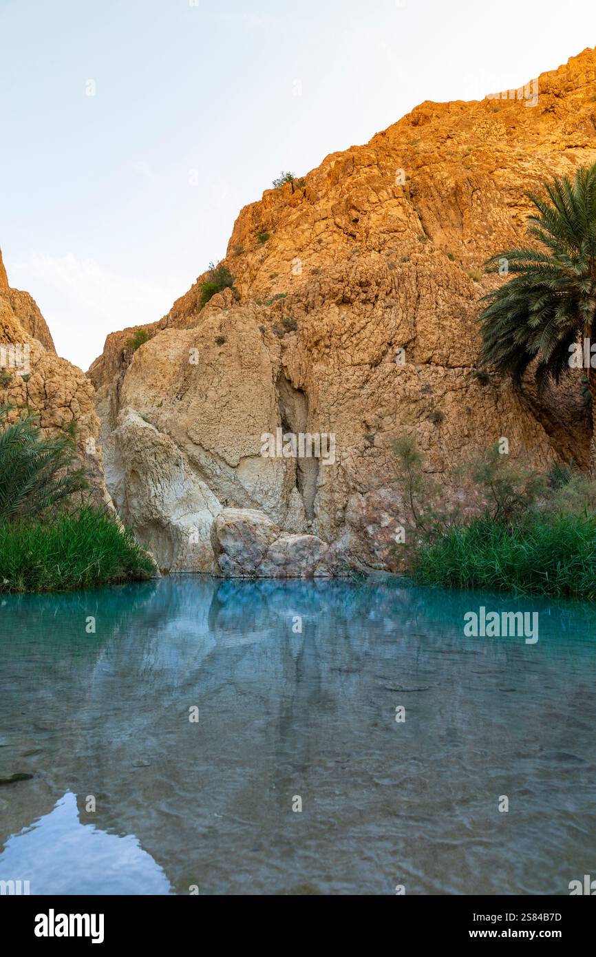 L'oasis de Chebika, au centre de la Tunisie Banque D'Images