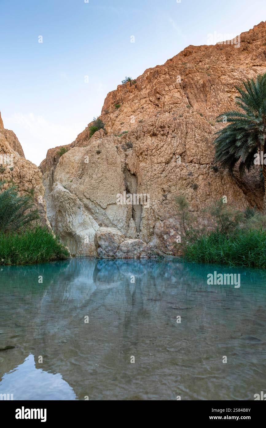 L'oasis de Chebika, au centre de la Tunisie Banque D'Images