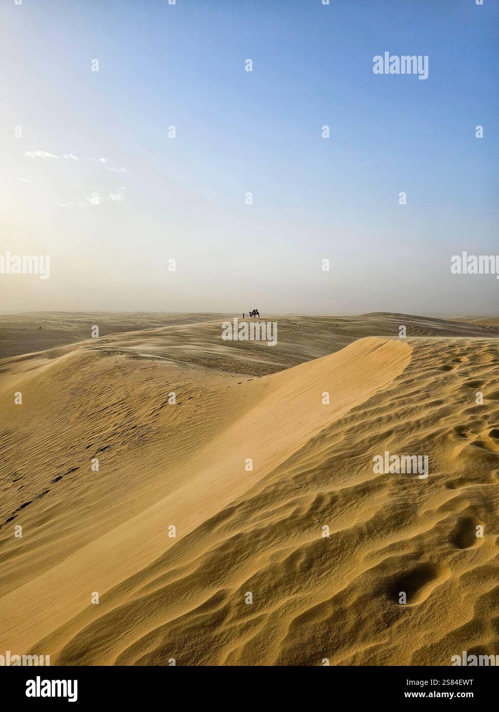 Dunes de sable roulantes du sommet du désert du Sahara Banque D'Images