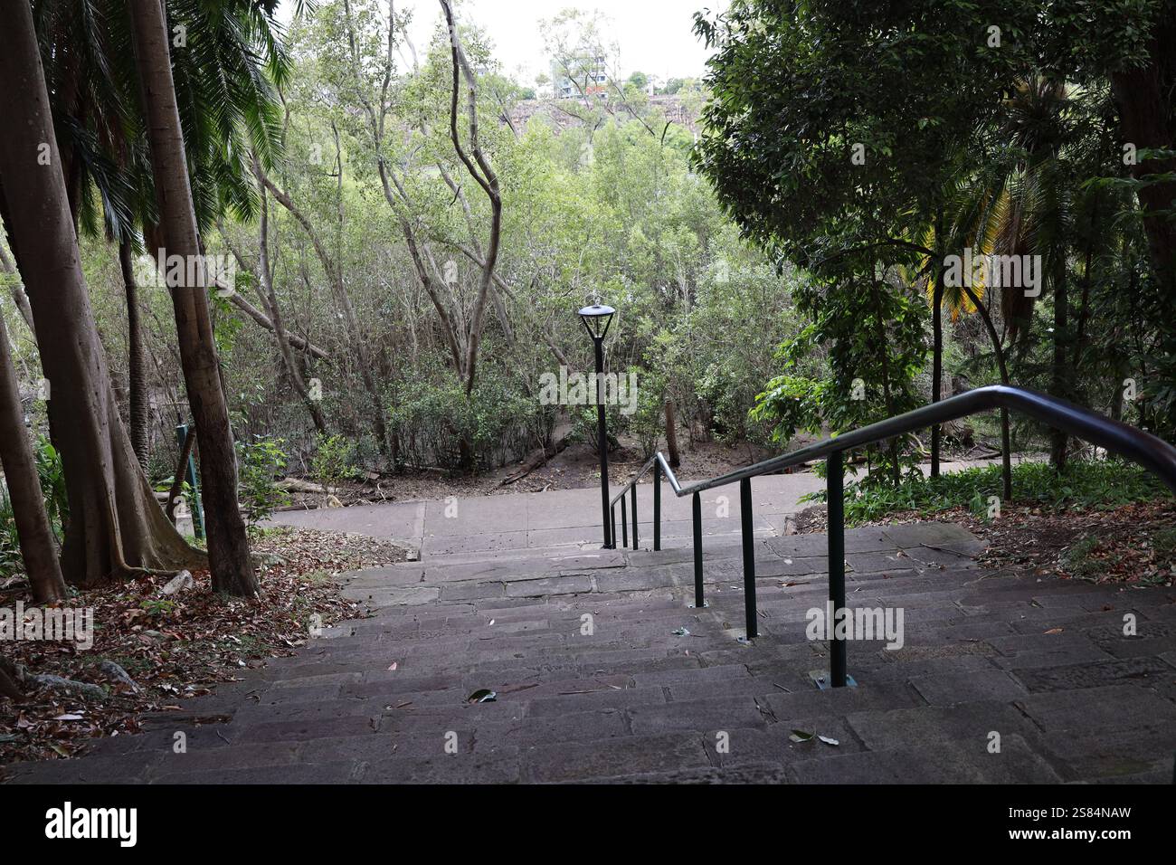 marches avec main courante métallique menant vers le bas d'une colline escarpée dans une forêt tropicale dense Banque D'Images