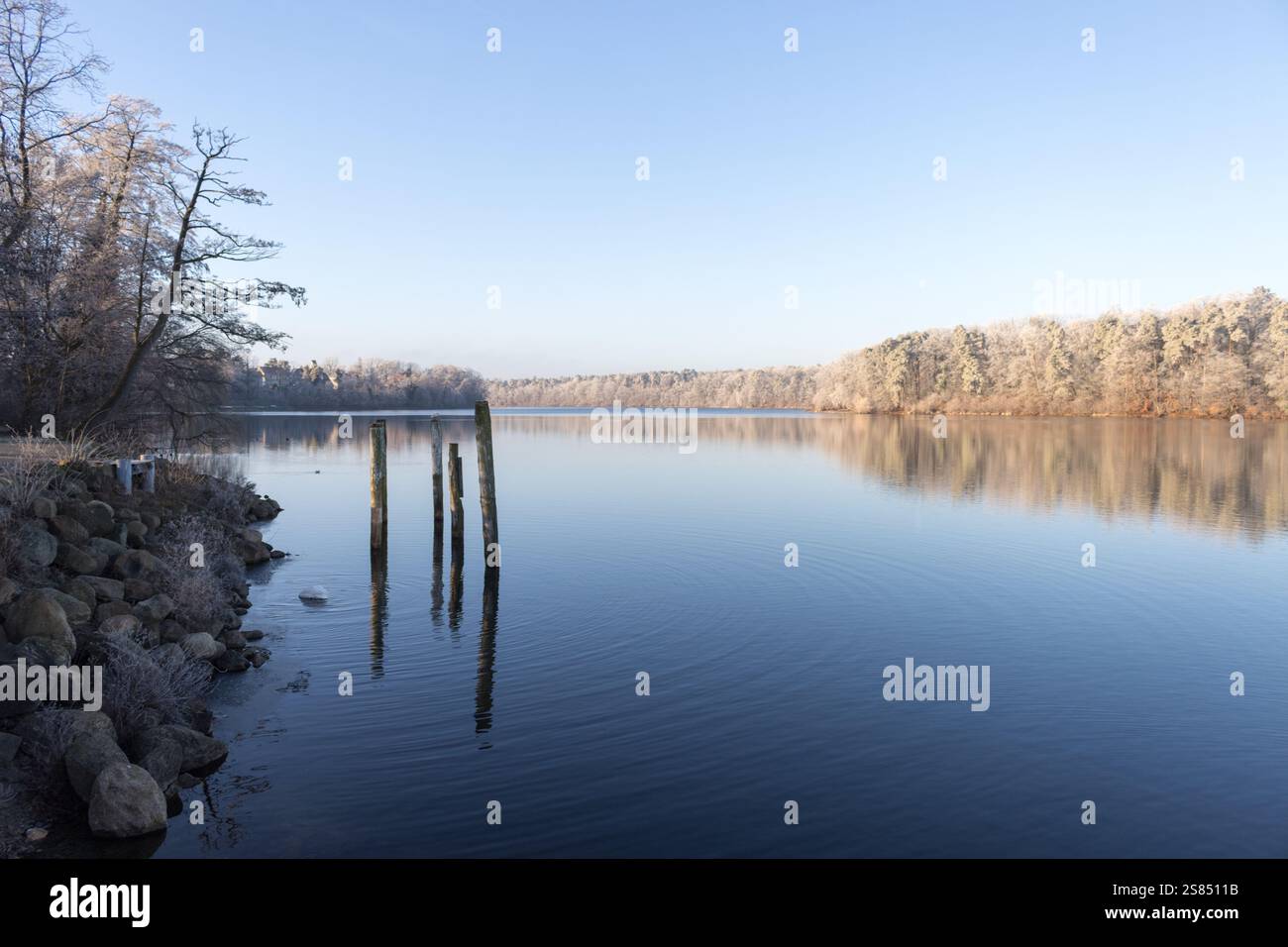 Une matinée d'hiver paisible à Straussee, avec des poteaux en bois debout dans l'eau calme, reflétant les arbres couverts de gel et le ciel bleu clair. Banque D'Images