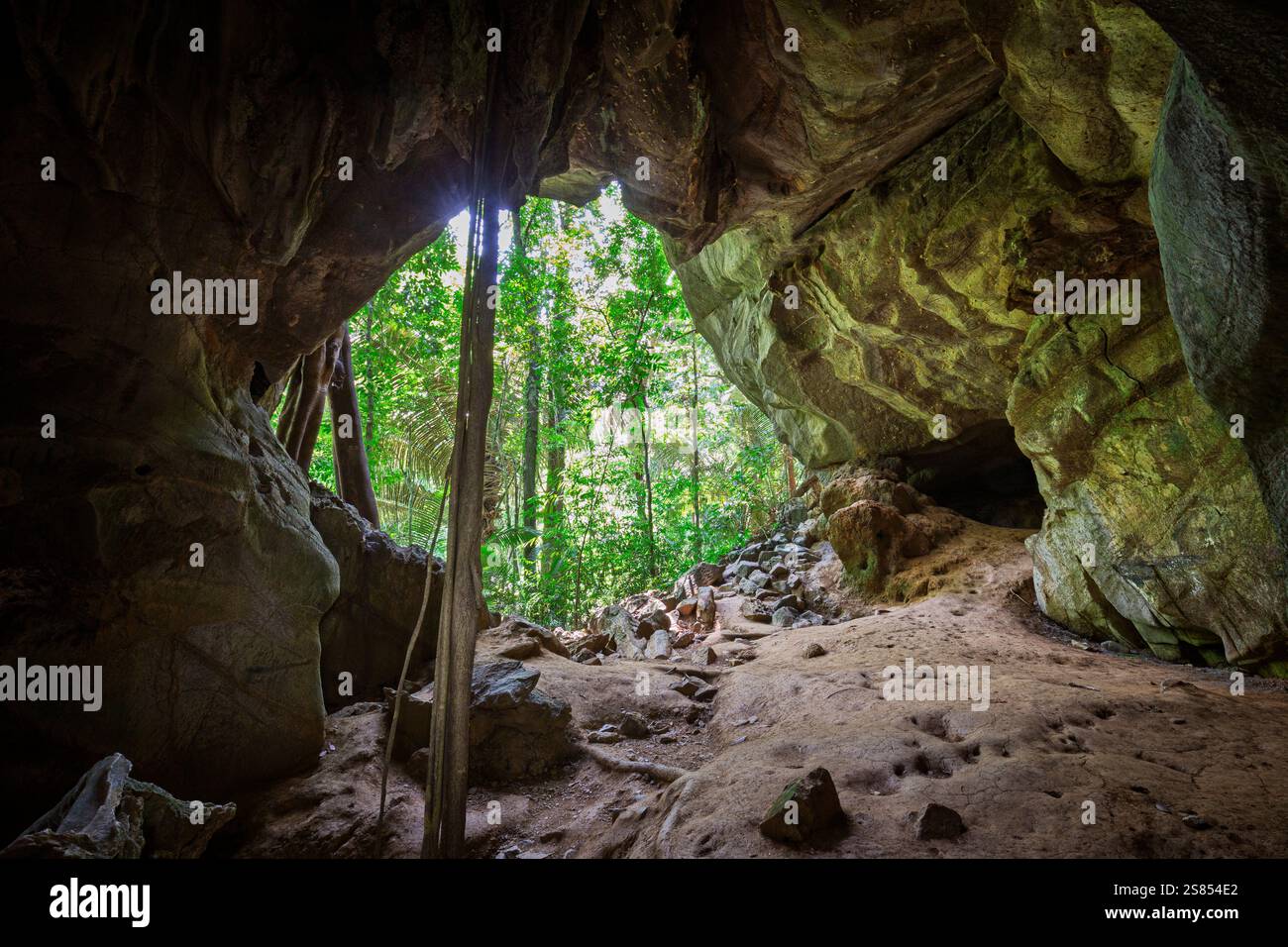 À l'intérieur de la pittoresque grotte de chauves-souris Khlong Chak avec des stalactites et d'autres formations rocheuses à Koh Lanta, Thaïlande, par une journée ensoleillée. Banque D'Images