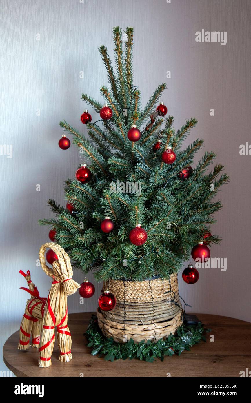 Un présentoir de Noël d'inspiration scandinave avec un arbre artificiel décoré en rouge dans un pot de paille, accompagné d'une chèvre Yule traditionnelle. Banque D'Images