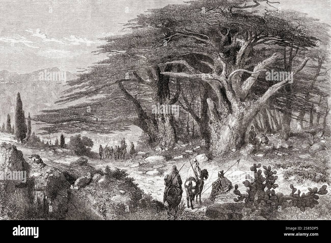 Les cèdres du Liban ou cèdres de Dieu, Vallée de Kadisha à Bsharre, Liban, XIXe siècle. Tiré du Tour du monde, publié en 1861. Banque D'Images Les cèdres du Liban ou cèdres de Dieu, Vallée de Kadisha à Bsharre, Liban, XIXe siècle. Tiré du Tour du monde, publié en 1861. Banque D'Images