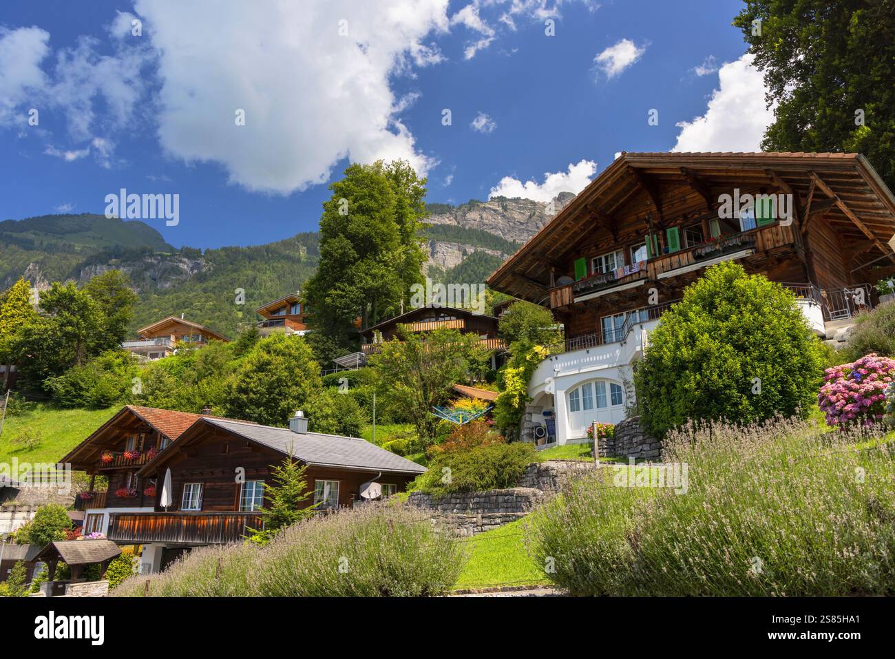 Chalets traditionnels à flanc de colline, Brienz, Oberland bernois, Suisse Banque D'Images