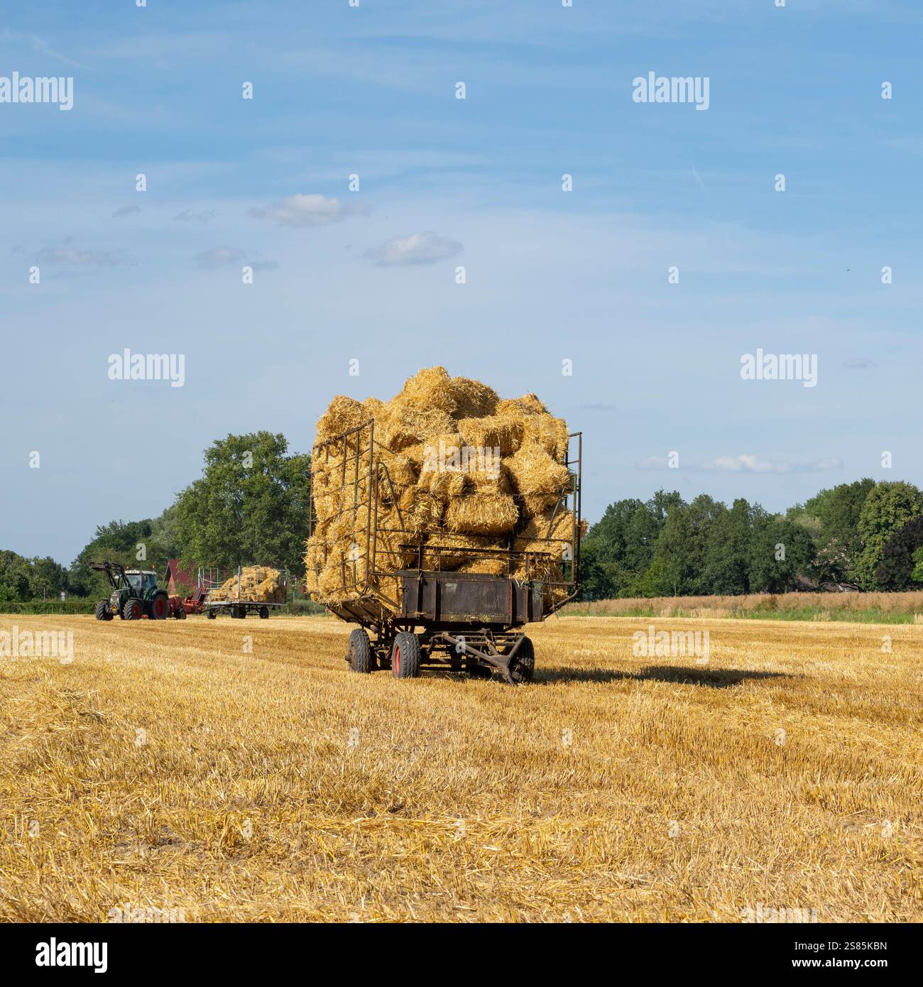 Chariot à foin sur un champ de céréales Banque D'Images