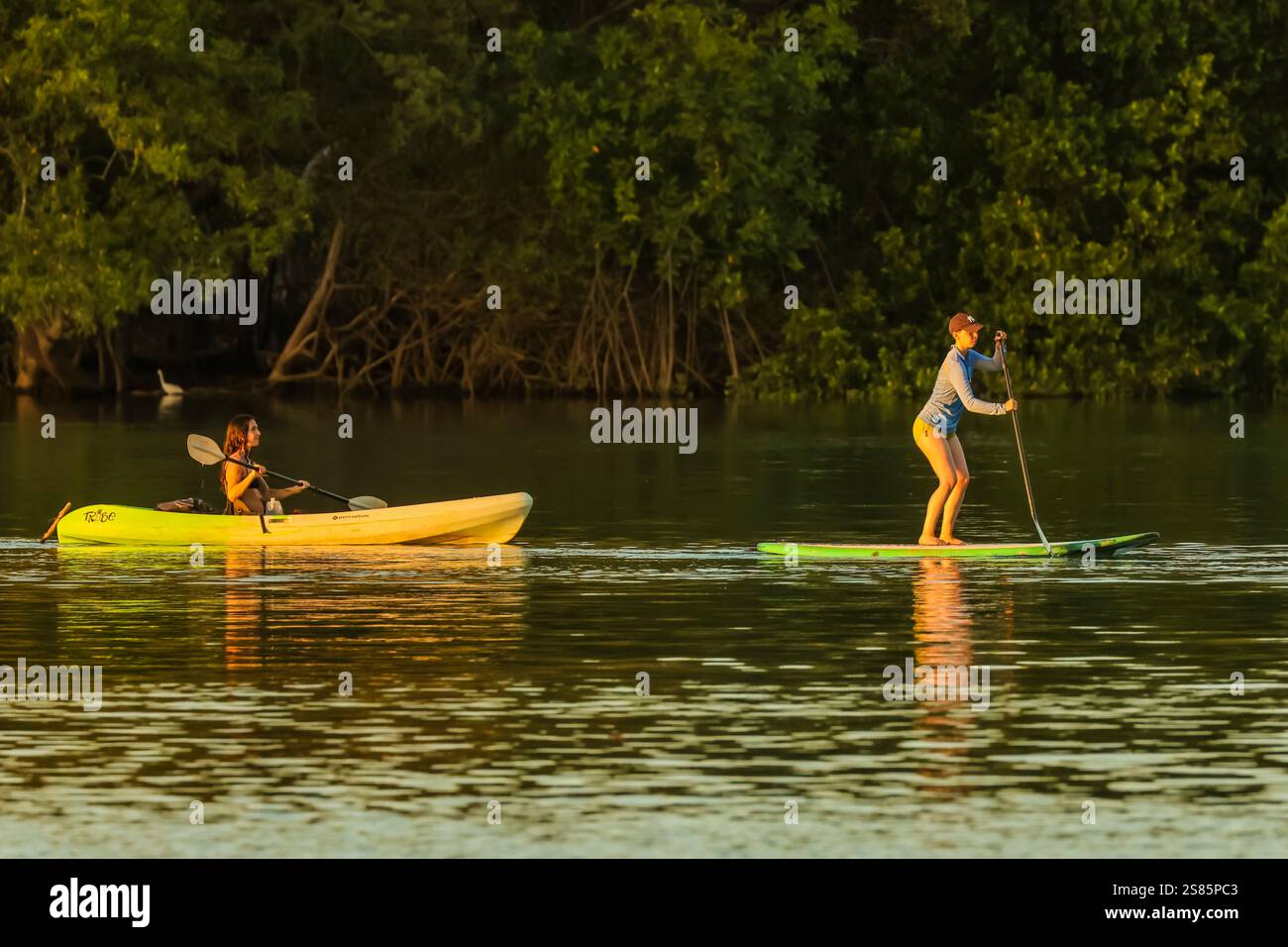 Touristes canoë et paddle board sur la mangrove bordée de rivière Nosara et réserve biologique au coucher du soleil, Boca Nosara, Nosara, Guanacaste, Costa Rica Banque D'Images