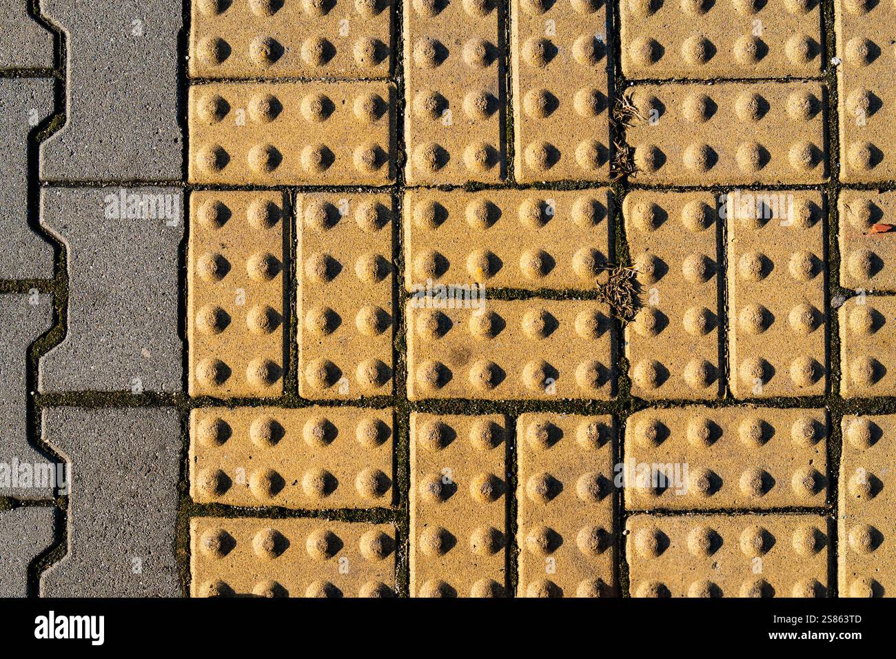 Trottoir texturé avec pavage tactile pour une accessibilité en milieu urbain Banque D'Images