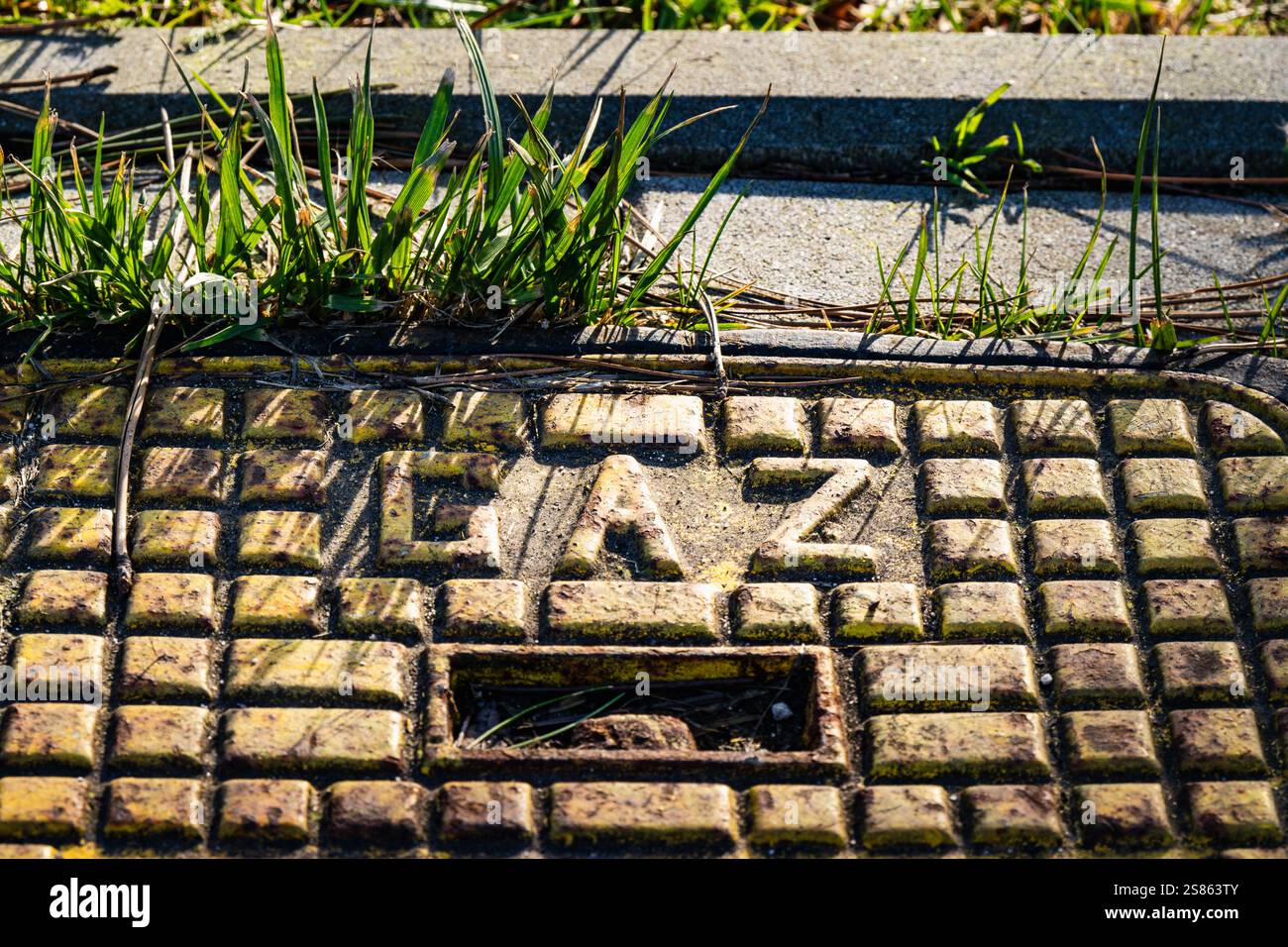 Couvercle de trou d'homme avec lettrage gaz entouré d'herbe dans un cadre urbain ensoleillé Banque D'Images