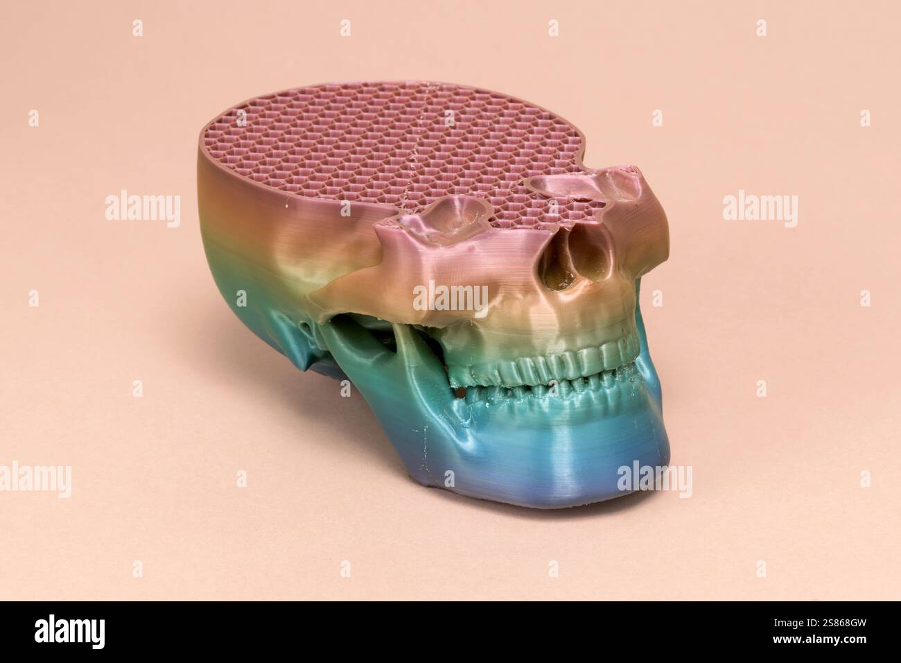 Imprimante 3D moderne créant un crâne en plastique coloré avec remplissage en nid d'abeilles, mettant en valeur l'innovation dans la technologie de fabrication additive Banque D'Images