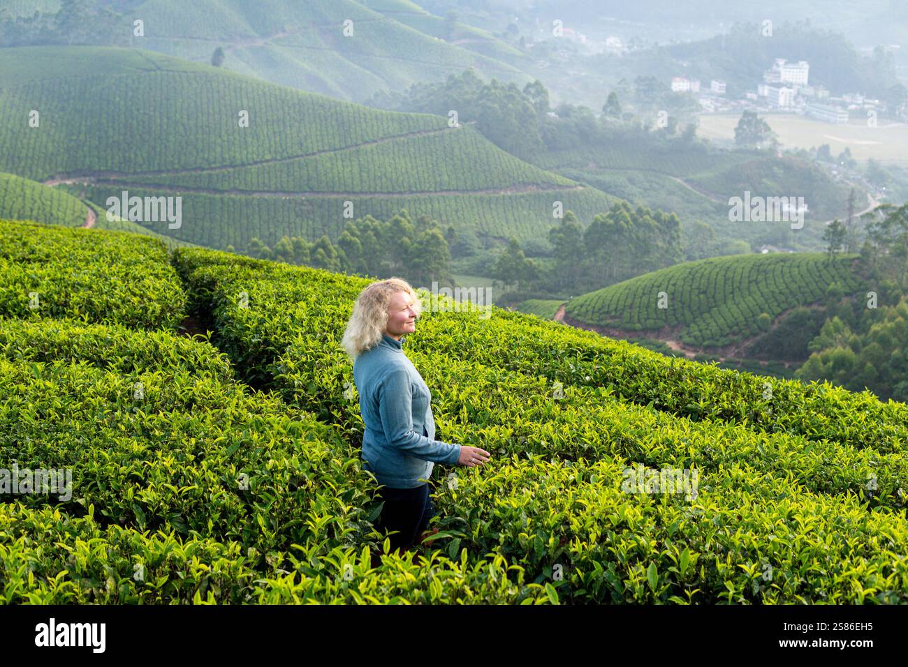 Jeune femme blonde en randonnée parmi les plantations de thé à Munnar. Éco-tourisme au Kerala, Inde Banque D'Images