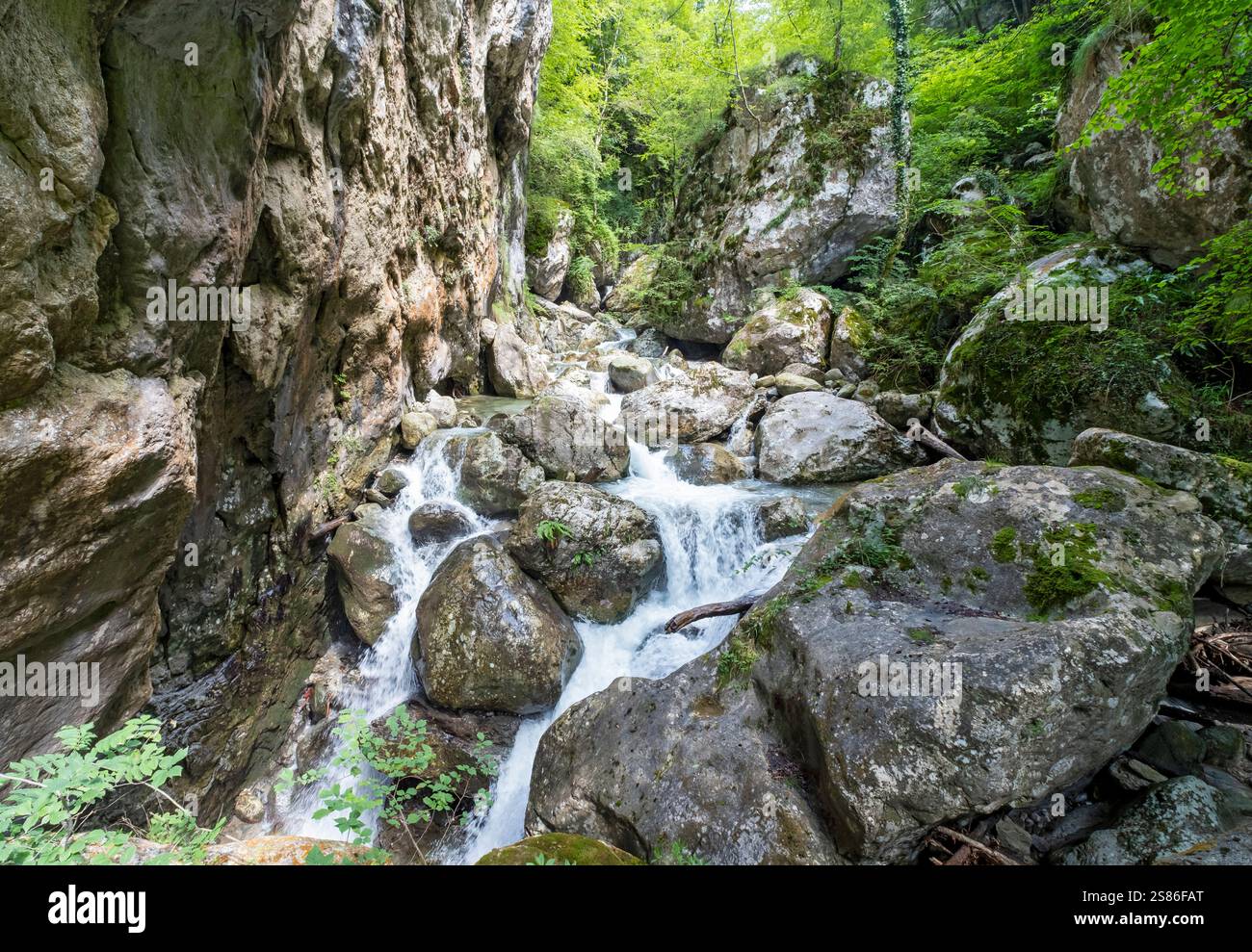 Sass Corbee, Lac de Côme, Lago di Côme, Italie Banque D'Images