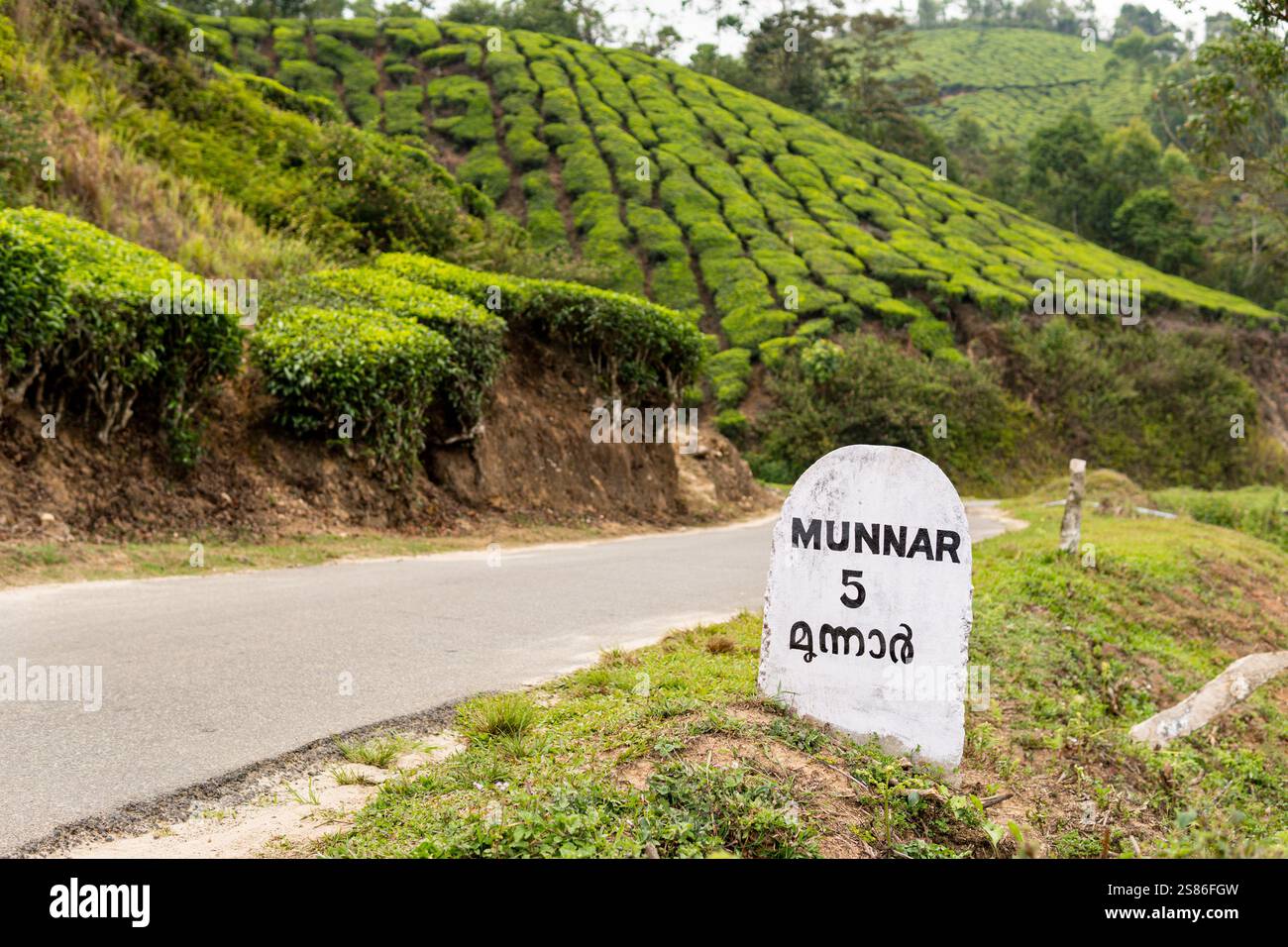 MUNNAR, INDE - 1er MAI 2024 : panneau routier sur la plantation de thé indiquant la distance à Munnar dans le Kerala, Inde. Banque D'Images