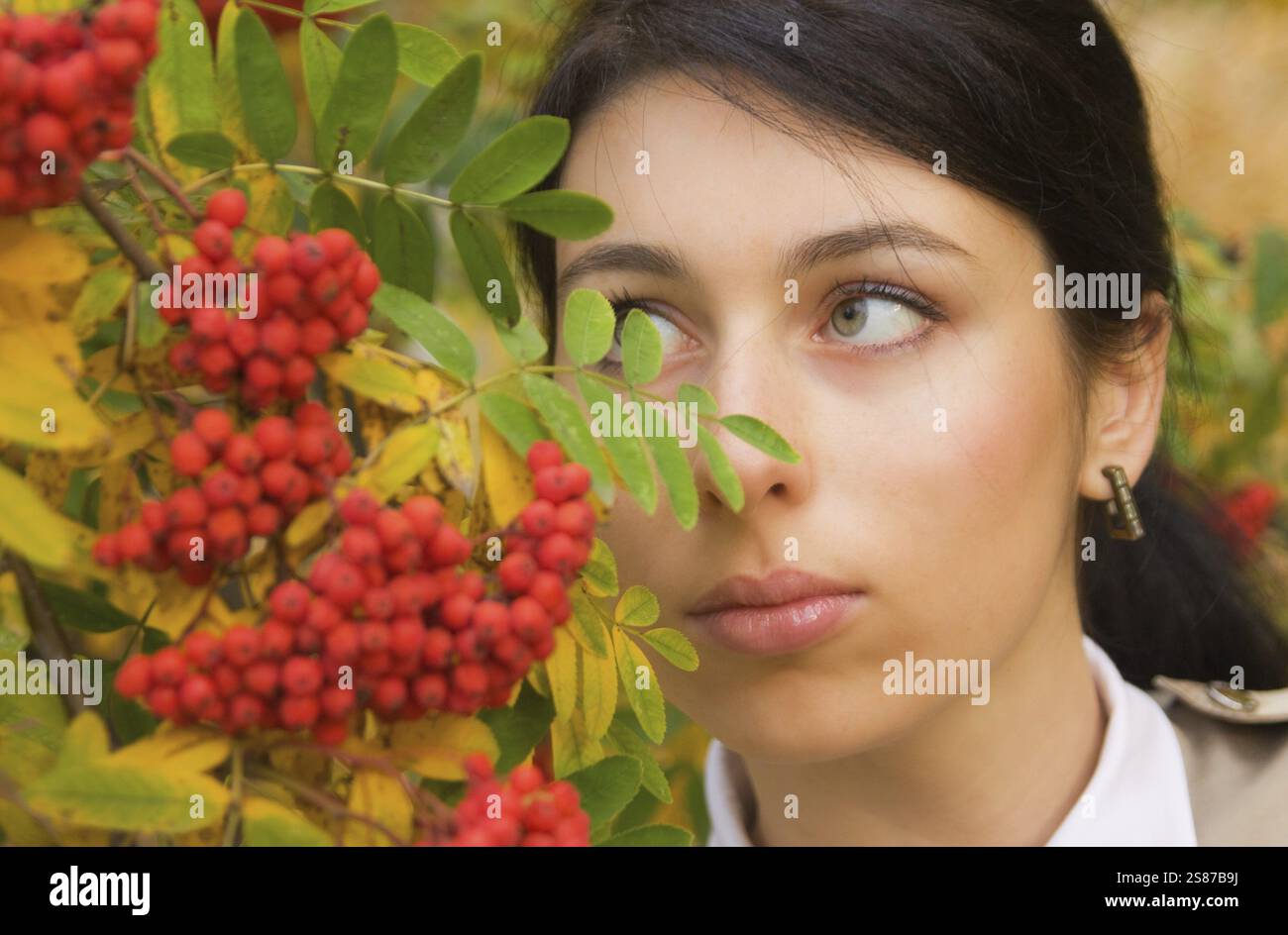 Jolie jeune femme touchant des cendres dans un parc d'automne, Moscou, Fédération de Russie Banque D'Images