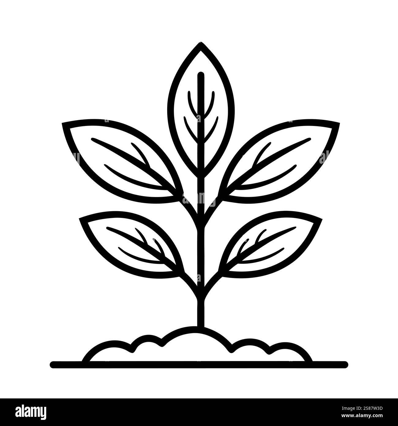 Icône linéaire noire de jeune plante avec des feuilles. Concept de croissance ou de développement durable. Symbole de plante. Illustration vectorielle Illustration de Vecteur