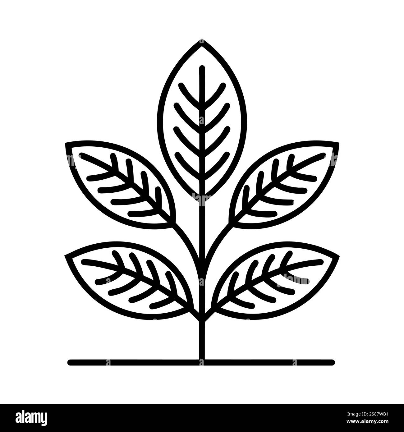 Icône linéaire noire de jeune plante avec des feuilles. Concept de croissance ou de développement durable. Symbole de plante. Illustration vectorielle Illustration de Vecteur