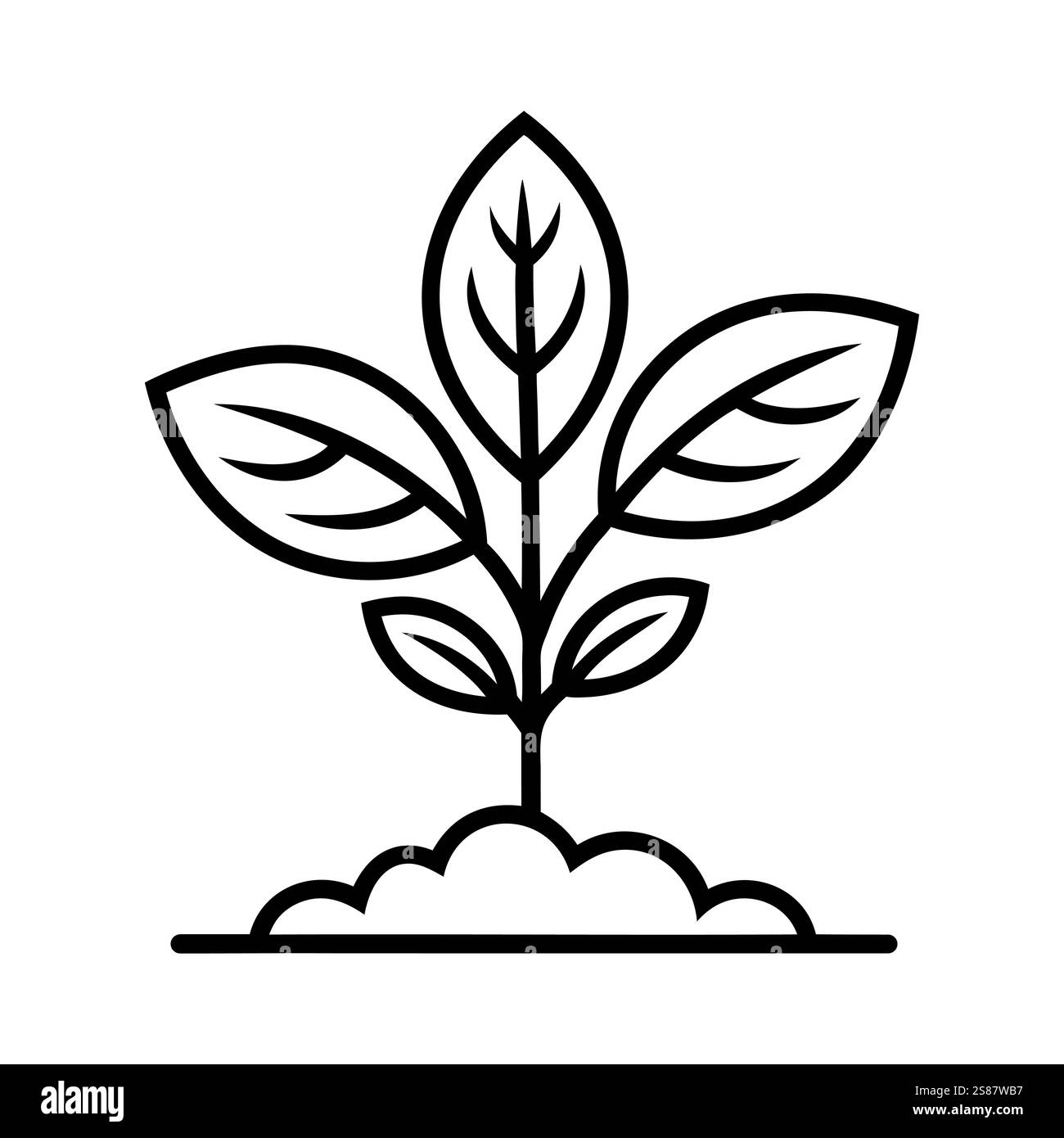 Icône linéaire noire de jeune plante avec des feuilles. Concept de croissance ou de développement durable. Symbole de plante. Illustration vectorielle Illustration de Vecteur