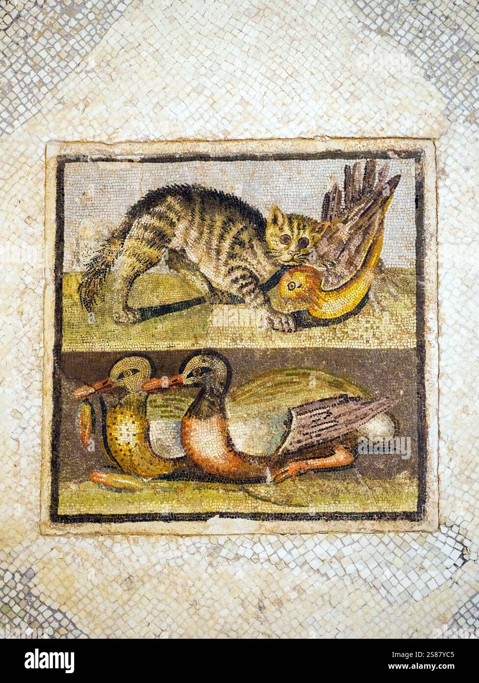 Emblème mosaïque avec chat et canards - Rome, de la villa romaine sur la via Ardeatina, domaine Cecchignola - la mosaïque du sol. avec des tuiles blanches, il a un emblème central, in opus vermiculatum (micro tuiles) divisé en deux registres représentant un chat en train de saisir un oiseau et deux canards, dont l'un a une fleur de lotus dans son bec. Le rendu des sujets est similaire aux méthodes des peintures hellénistiques. Premier siècle av. J.-C. - le Musée national romain du Palazzo Massimo alle terme - Rome, Italie Banque D'Images
