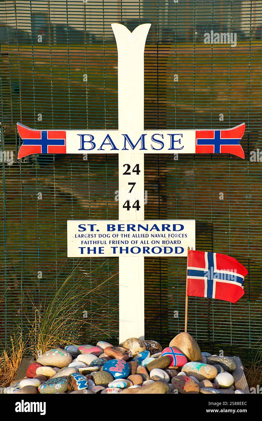 Bamse tombe et pierres peintes à Montrose en Écosse était une mascotte de chien Bernard des Forces norvégiennes libres pendant la seconde Guerre mondiale Banque D'Images