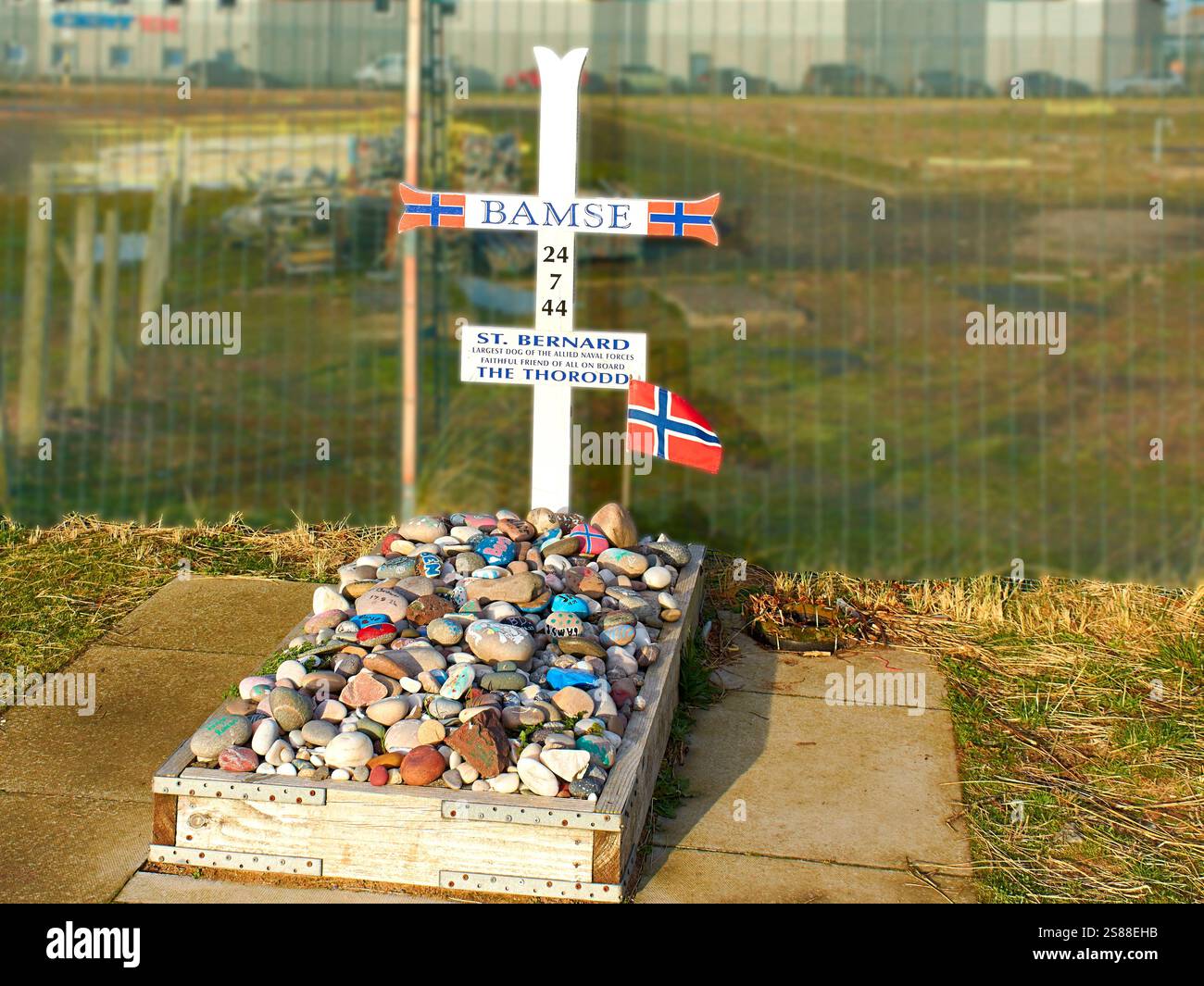 Bamse sa tombe à Montrose en Écosse était un chien Bernard la mascotte des Forces norvégiennes libres pendant la seconde Guerre mondiale Banque D'Images