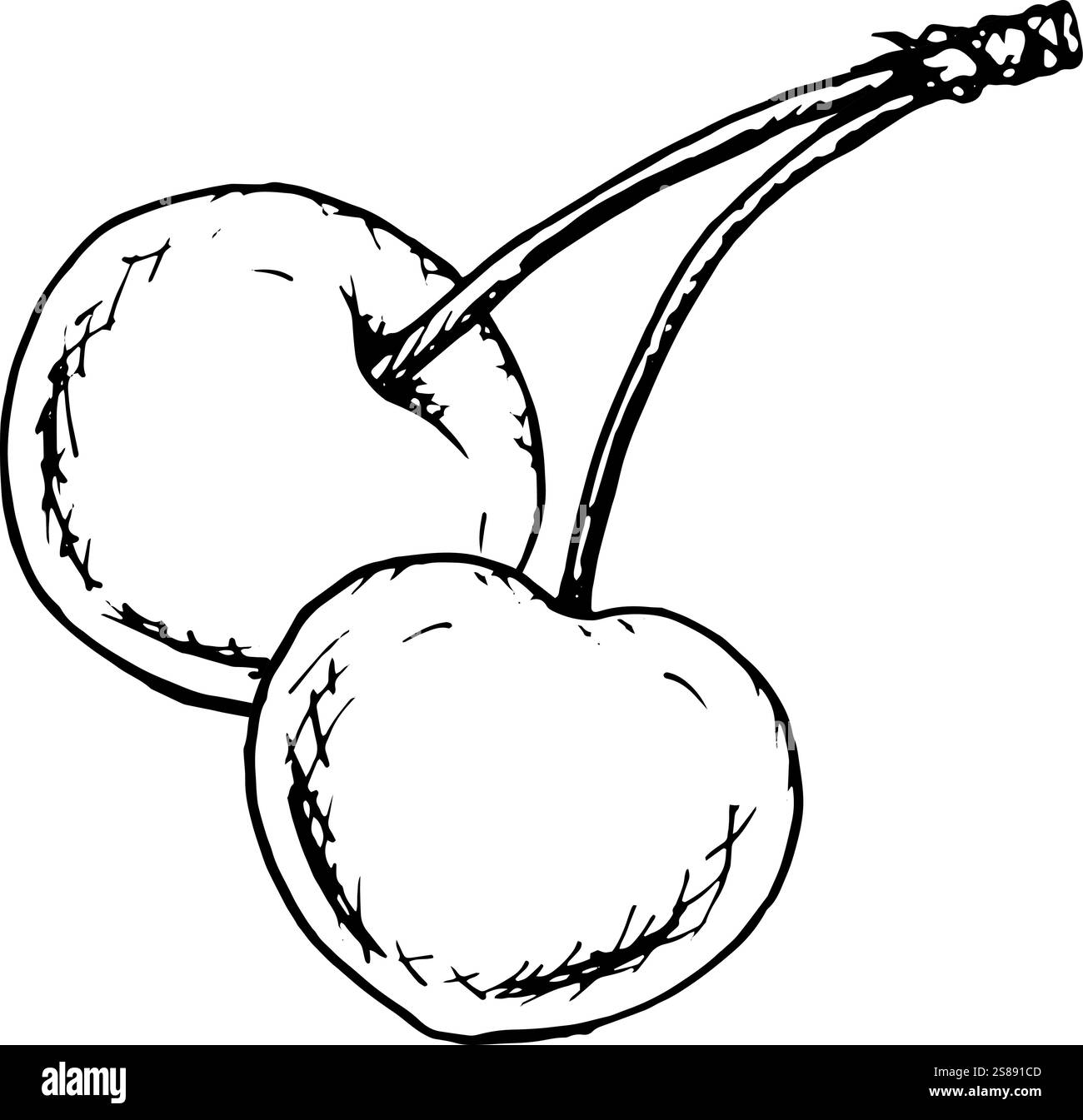 Illustration vectorielle en noir et blanc dessinée à la main d'une paire de cerises avec des tiges, créée dans le style croquis à l'encre. Parfait pour les emballages alimentaires, les livres de recettes Illustration de Vecteur