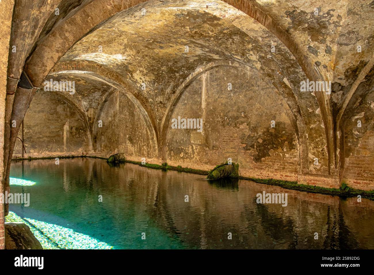 Un bassin d'eau à l'intérieur de Fontebranda , la fontaine médiévale la plus célèbre de Sienne, situé sur la via Fontebranda , Sienne , Italie Banque D'Images