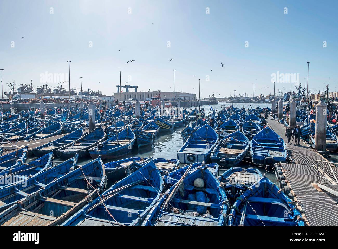 Des dizaines de petits bateaux de pêche dans le port d'Essaouira, Maroc. Un grand marché aux poissons a lieu sur la jetée ici. Banque D'Images