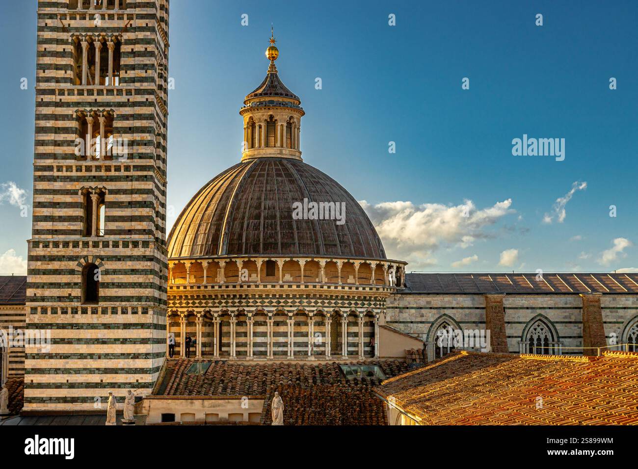 Le dôme et le clocher de la cathédrale de Sienne dans le soleil de fin d'après-midi vu du Panorama dal Facciatone à Sienne, Italie Banque D'Images