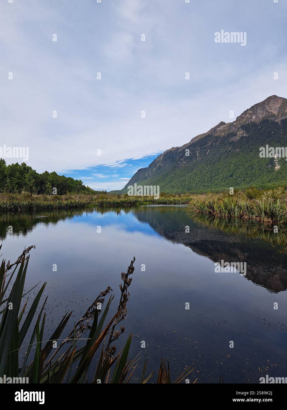 Mirror Lake dans Fiordland - Image de stock capturée avec un smartphone