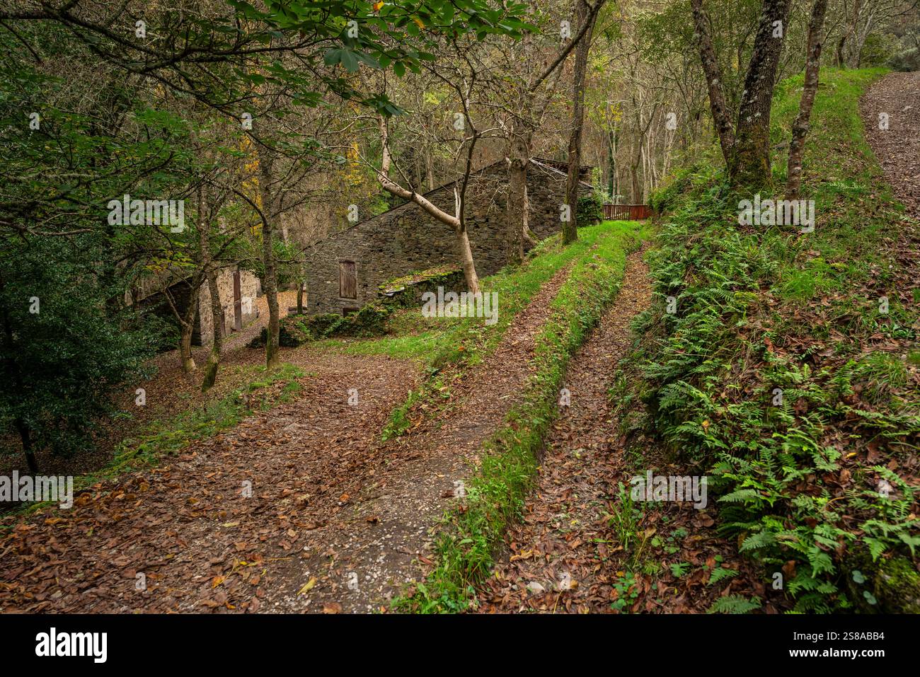 Forge médiévale de Compludo, vallée de Compludo, Ponferrada, région de Bierzo, Castille-et-Léon, Espagne. Banque D'Images
