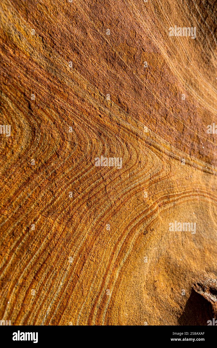 Lignes fluides de grès stratifié ou stratifié, Mitchell Rocks, région d'Otago, Nouvelle-Zélande Banque D'Images