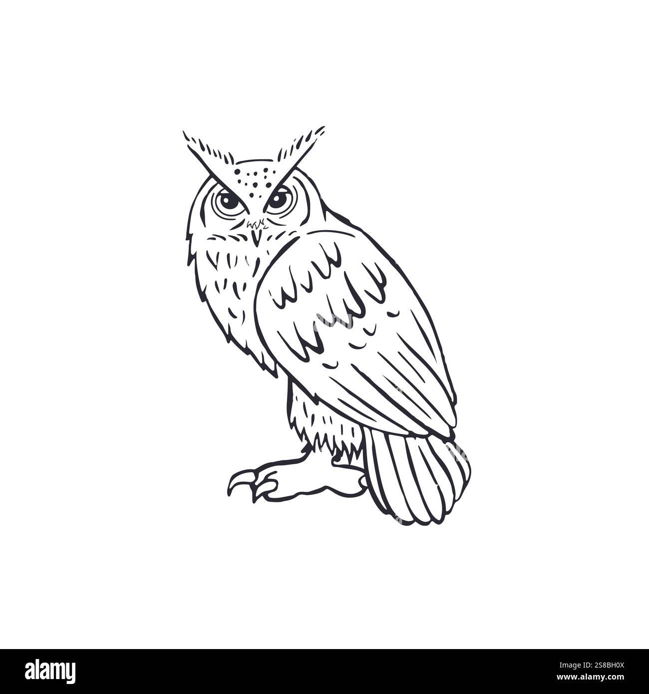 Dessiné à la main en noir et blanc art Eagle-hibou debout isolé sur fond blanc Illustration de Vecteur