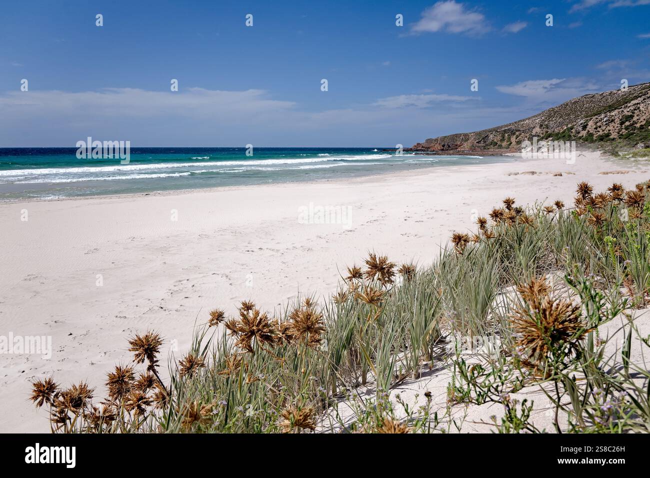 Stokes Bay Beach, Kangaroo Island, Australie méridionale, plage secrète cachée, populaire voyage touristique destination de vacances Banque D'Images