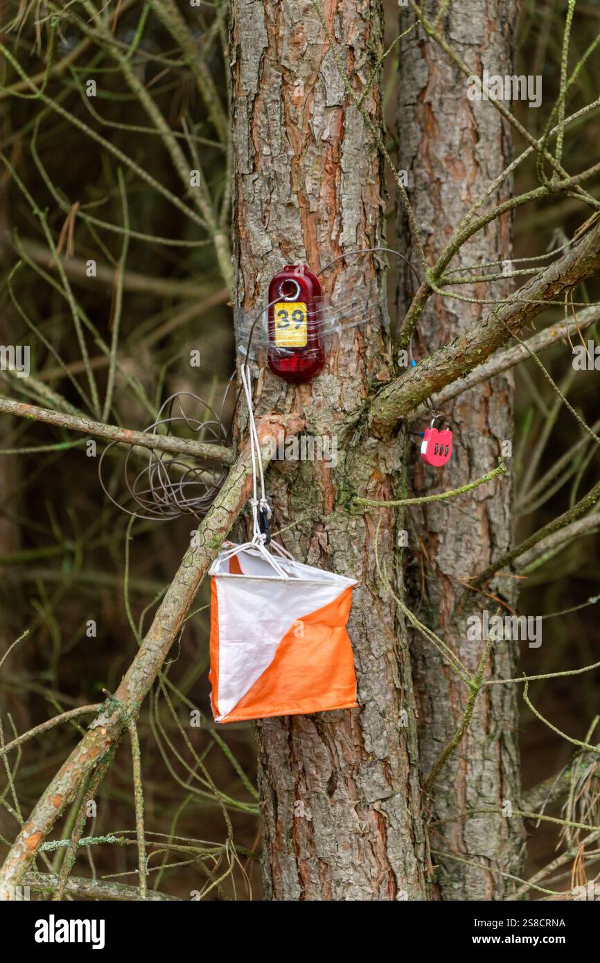 Orientation. Point de contrôle prisme et composteur électrique pour la course d'orientation dans la forêt printanière. Équipement de navigation. Le concept Banque D'Images