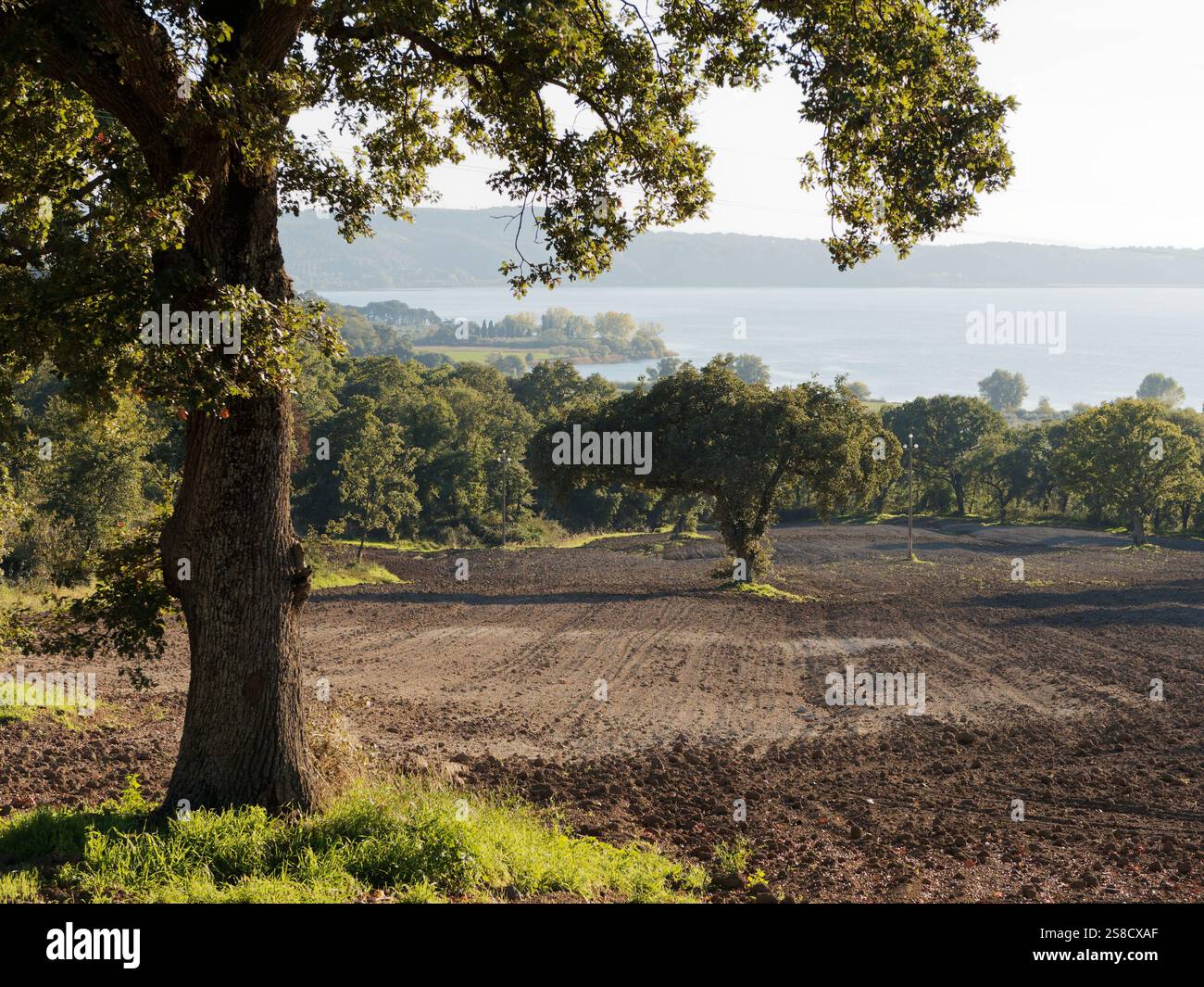 Campagne et champ plughed à côté du lac Bolsena à l'approche du cimetière militaire de Bolsena, Italie Banque D'Images