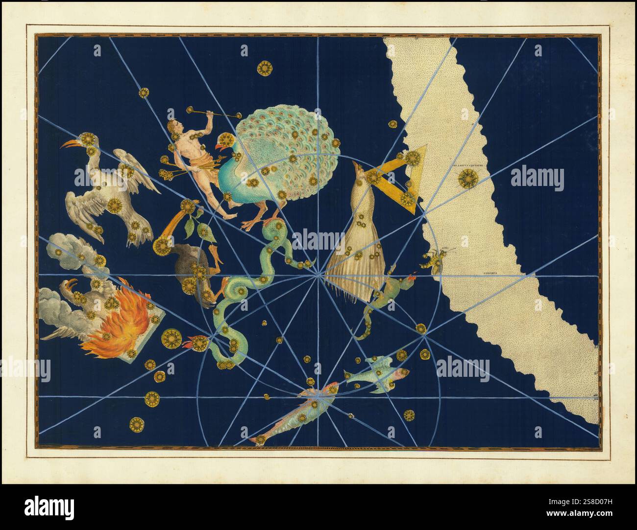 Astronomie. Der Himmelsatlas, die Uranometria, ptolemäische Sternbilder, von Johann Bayer 1572 - 7. März 1625, deutscher Astronom, Pavo, Sternbild Pfau, Digital verbesserte Reproduktion einer historischen Vorlage Banque D'Images