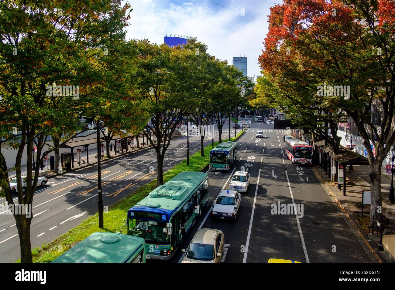 La large avenue Aoba-Dori, en direction de l'ouest de la gare de Sendai, montre les premiers signes de couleur des feuilles d'automne Banque D'Images