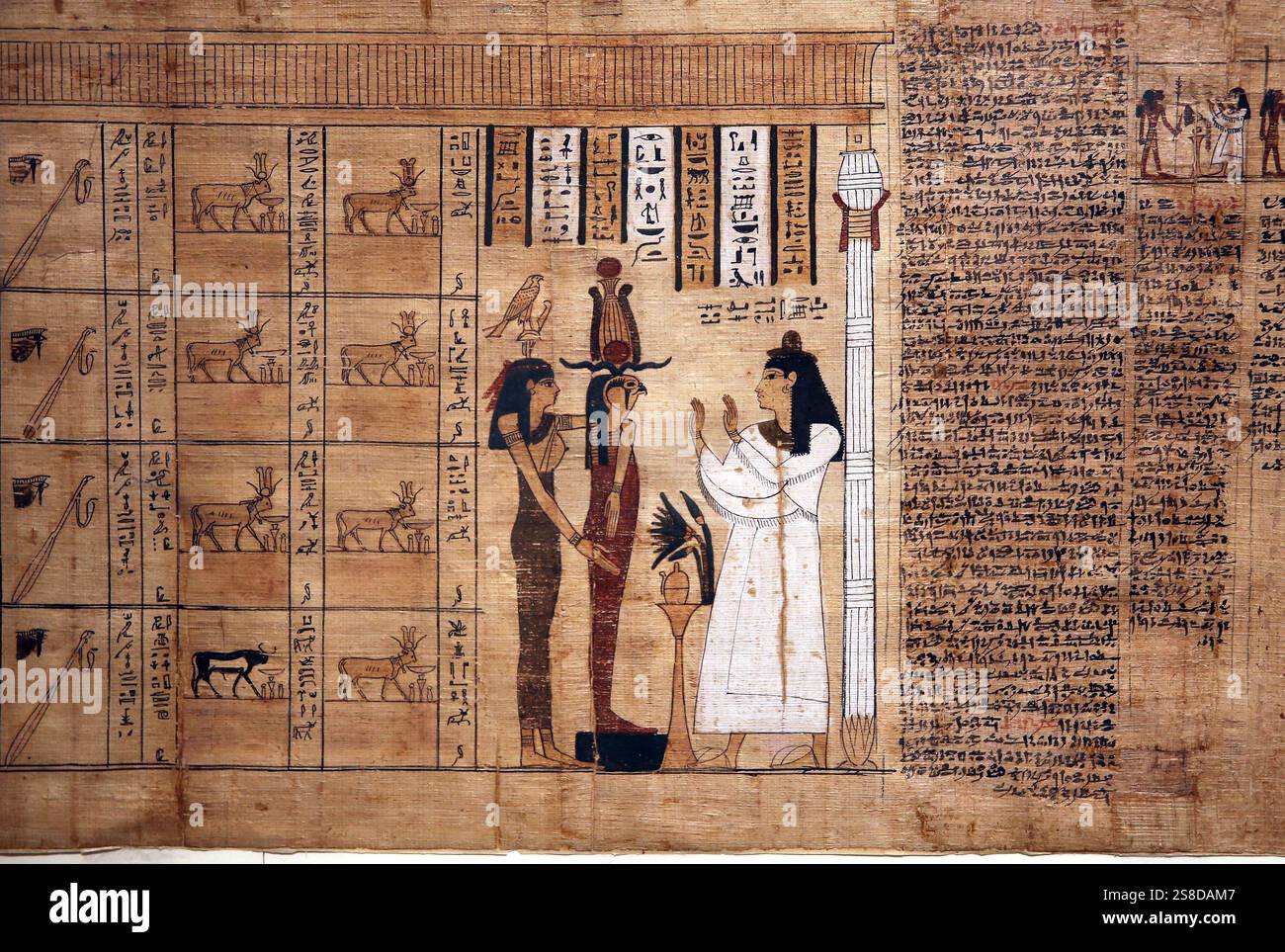 Papyrus d'un Livre des morts, Musée égyptien, Turin, Italie. Banque D'Images