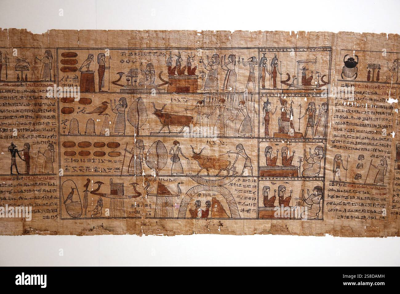 Les champs des Élysées. Papyrus du Livre des morts de Tsekhons. Période ptolémaïque Turin, musée égyptien. Italie. Banque D'Images