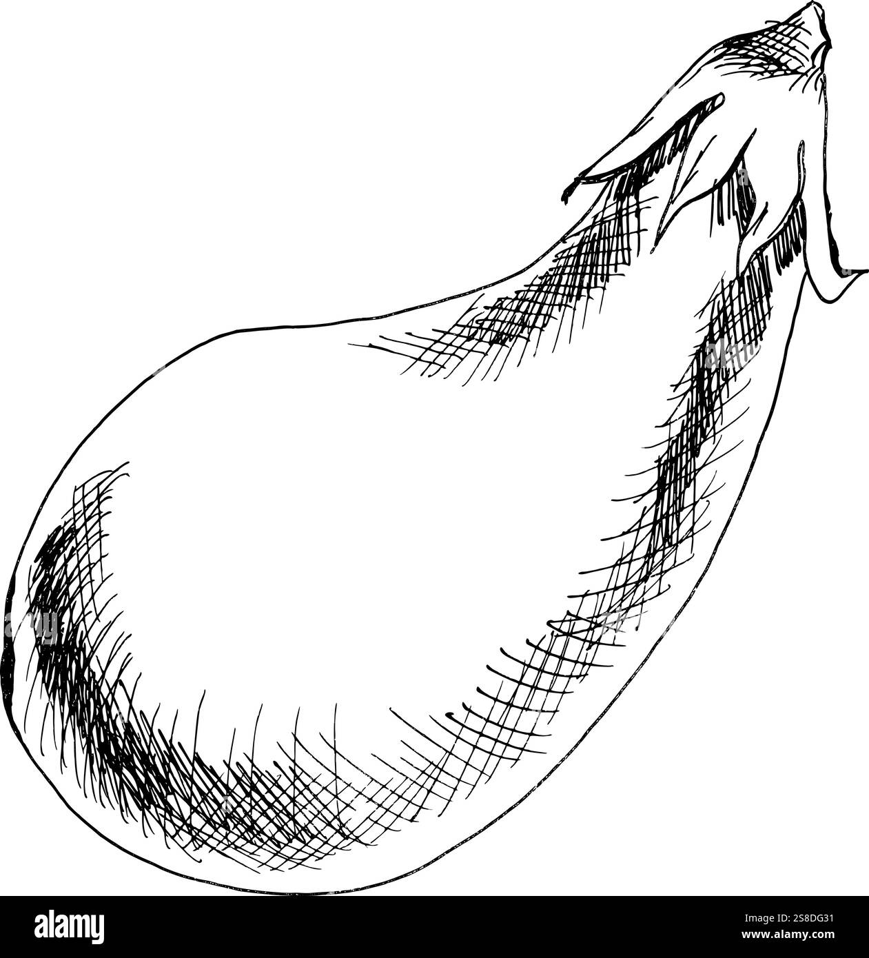 Clipart d'encre de légumes frais, silhouette d'aubergine dessinée à la main. Illustration de nourriture végétarienne, ingrédient de salade pour l'emballage de produit, épicerie, étiquette d Illustration de Vecteur