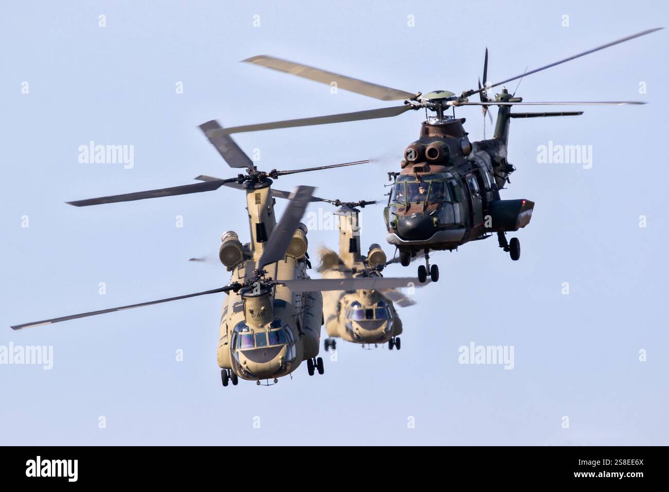 Décollage des hélicoptères AS532 Cougar et CH-47F Chinook de la Royal Netherlands Air Force. EDE, pays-Bas - 16 septembre 2023 Banque D'Images
